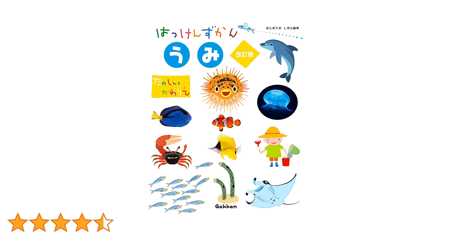 81RrkdDdmDL.jpg_BO30,255,255,